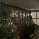 세하 | 광주 카페 / 트리 하나만 바라보고 간 ‘ 밀밀 세하점 ’ 솔직후기