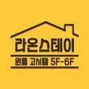 스테이성신
