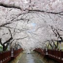 충장로446번길 이미지