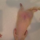 버섯마을 이미지