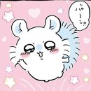 모몽가 이미지