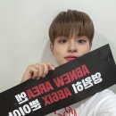 댕댕이 카페 이미지