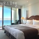 2018029 | 속초숙소 마레몬스호텔 3월 국내여행 명소 속초숙박추천