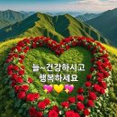 시원한주 이미지