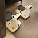 릴리펏롯데백화점부산본점 이미지