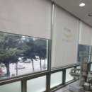 서울플라워치과교정과치과의원 네이버블로그