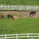 원당사슴목장 이미지