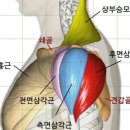 백석프레스