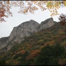 (주)해승여행사