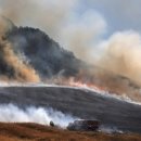 도그어스 플래닛 이미지