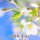《First Class》라는 글 중에 이미지
