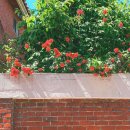 순천 대학로 축제 | 어른의 방학은 없다, 다만 8월이 있을 뿐