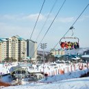 곤지암리조트 이미지