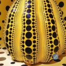 아름다운 반복 이미지