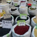 고운:눈