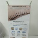 이다지뷰티