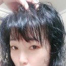 주식회사이루다유통 | 탈모 증상 완화 기능성 탈젠플러스 탈젠샴푸 & 탈젠앰플