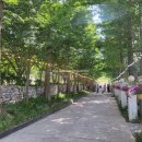 산책하기 좋았던 아산 가볼만한 곳 피나클랜드 수목원 후기(동물체험 - 알파카 있음)