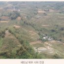 고래와새우