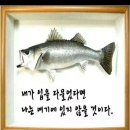 늘푸른쌈밥 이미지