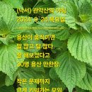 2024. 9. 26..목..최재성치과.6월점검. 이석연기타전달. 이미지