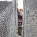 마곡M동물의료센터 이미지