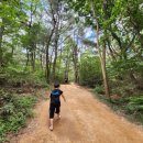 황방산생태야영장 이미지