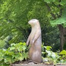 양구백자박물관 이미지