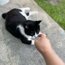 영등동-35 | 익산영등동카페, 봄날35 내돈내산 솔직후기!