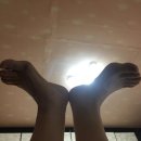 푼다리카 이미지