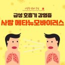 '사람메타뉴모바이러스'영유아주의, 주요증상은? 이미지