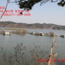 광시면011 Daum카페