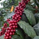 문장농장 이미지