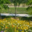 만덕2동-8 이미지