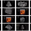 주식회사 메디드림 이미지