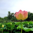 바다향기 이미지