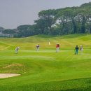 우리골프 이미지