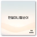 한일 미니 짤순이 오이지와 만두 속 탈수부터 가격까지 핵심 정리