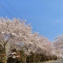 동백꽃공인중개사사무소 이미지