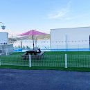 사계에반하다 이미지