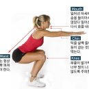 위너스타짐 이미지