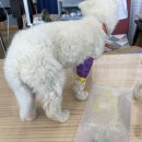 해남동물병원 이미지