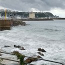 뮤피 | 별사탕 같은 사람이여