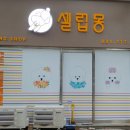 셀럽몽 Daum카페