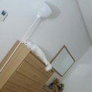 쫄랭쫄랭 이미지