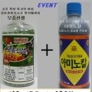 명성농자재 | 21년 고추종자추천(다나씨드)팜플렛