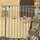 찌동찌동 이미지