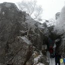성모사 이미지