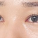 봉자속눈썹 이미지