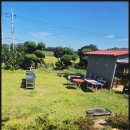 암태한옥민박 이미지